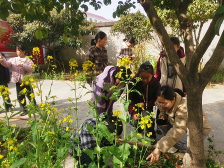 ���ն����ط���ͼ���