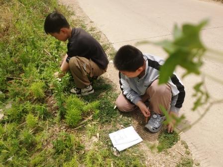 ���ն����ط���ͼ���