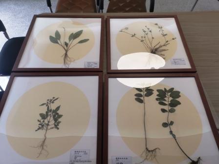 ���ն����ط���ͼ���