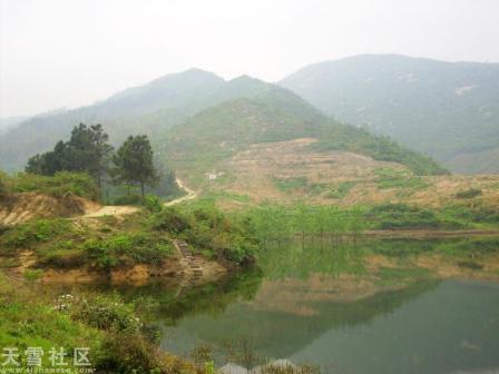 湖南省岳阳市华容县东山镇邓家小学图书角