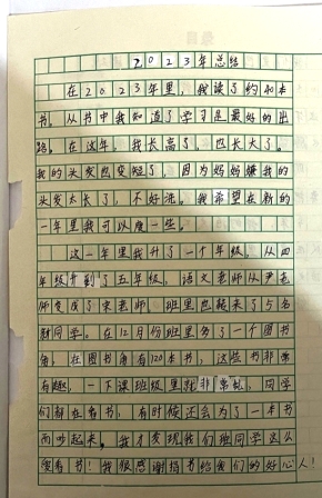 项目
